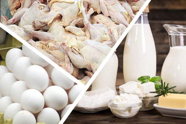 قیمت تخم مرغ در روزهای آینده کاهش می یابد