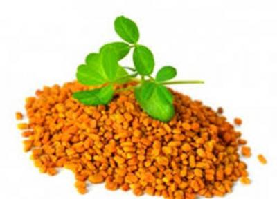 فایده روغن شنبلیله برای پوست فایده روغن شنبلیله برای پوست