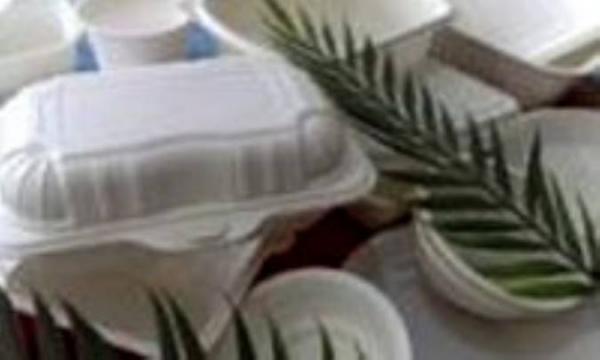 مزایای استفاده از ظروف یک بارمصرف گیاهی