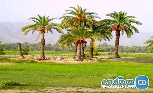 آشنایی با تعدادی از معروف ترین جاذبه های گردشگری قصر قند